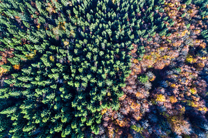 Aerial view of trees in the vosges mountains in autumn stock photo containing, an Architecture Photo by Leonid Andronov