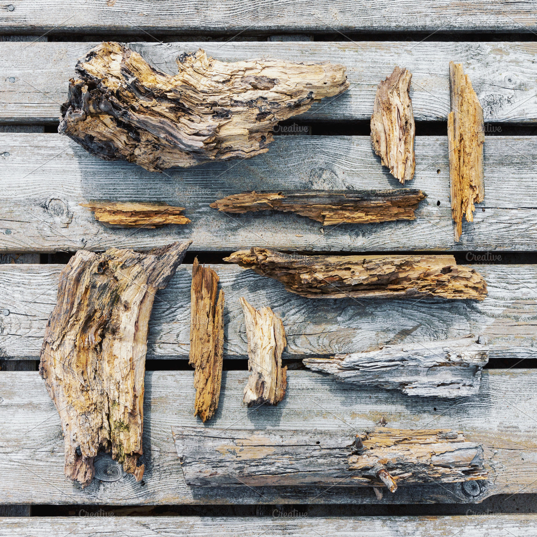 Rotten wooden pieces and fragments, a Nature Photo by BOOCYS