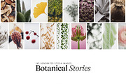 Botanical Stories Stock Pack, a Background Photo by Iconogenic (Thumbnail 1 of 4)