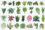 Potted Plants Watercolor clipart, an Object Illustration by BarvArt (Thumbnail 4 of 8)