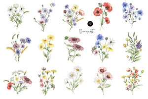 Watercolor Field Flowers Collection