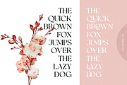 UPDATE! Romans Story Ligature Serif, a Serif Font by Letterhend Studio (Thumbnail 4 of 10)