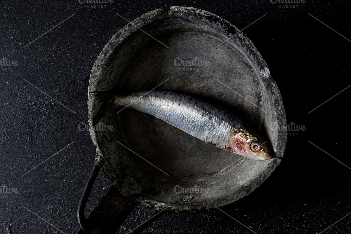 Feeling Catch, a Templates & Theme by Feelings (Photo 7 of 7)