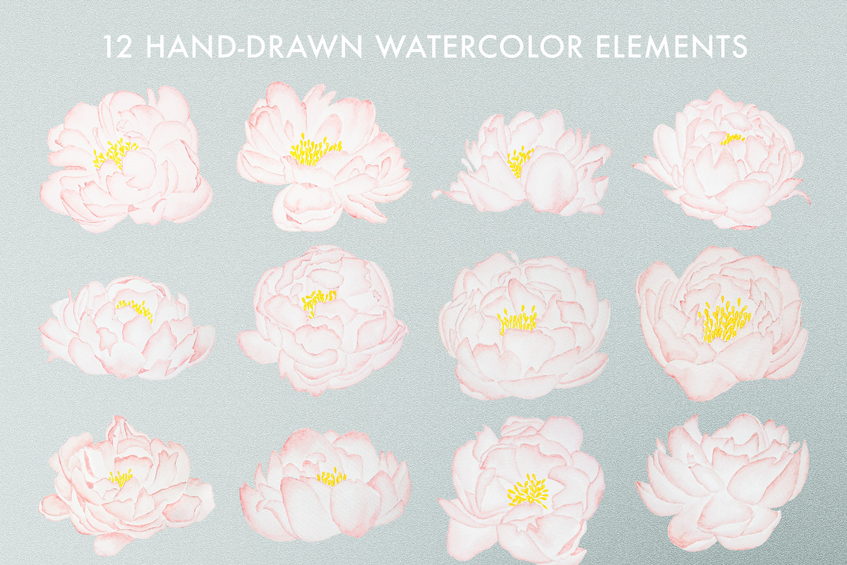 Outlined & Watercolor Peonies, an Illustration by sarahnuzum (Photo 6 of 6)