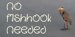 Fishhook