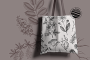Apothecary Plants & Herbs Vector Set, a Healthcare Illustration by Yevheniia (Thumbnail 11 of 11)