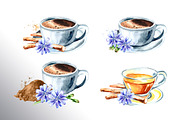 Chicory. Watercolor collection, a Food Illustration by Daria Ustiugova (Thumbnail 6 of 9)