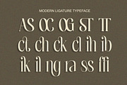 Novera Balessa - Modern Elegant, a Serif Font by Qweera Studio (Thumbnail 9 of 12)