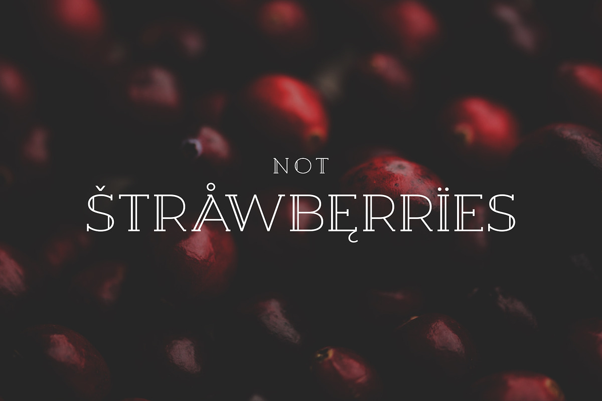 Berry Slab Serif Font preview 6