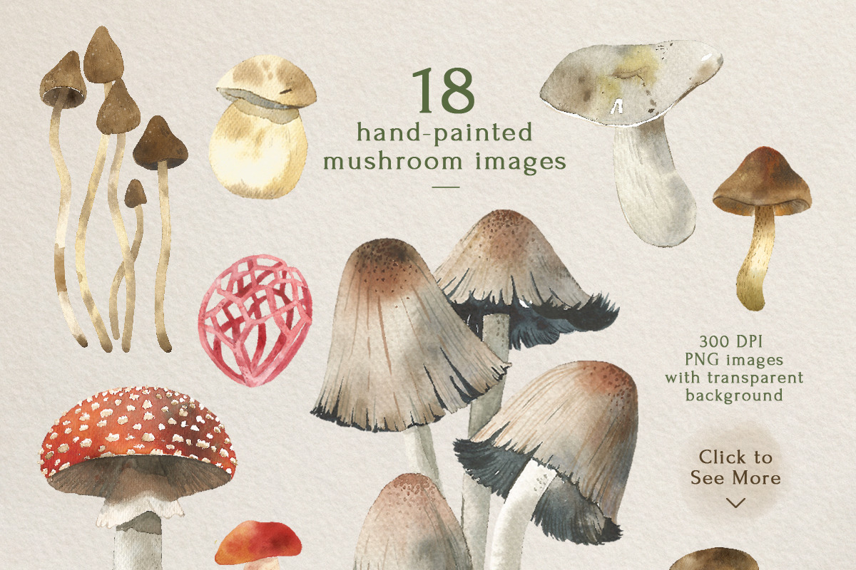 Mushroom Watercolor Clipart Set, an Illustration by STUDIO CABINET (Photo 2 of 6)