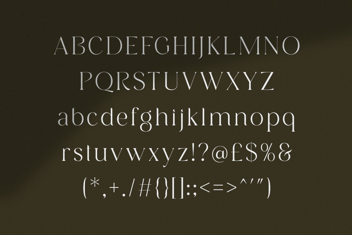 Versine Swoosh, a Serif Font by RockboyStd (Photo 8 of 12)