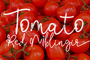 Bendina Sambat, a Script Font by Aldedesign (Thumbnail 6 of 9)