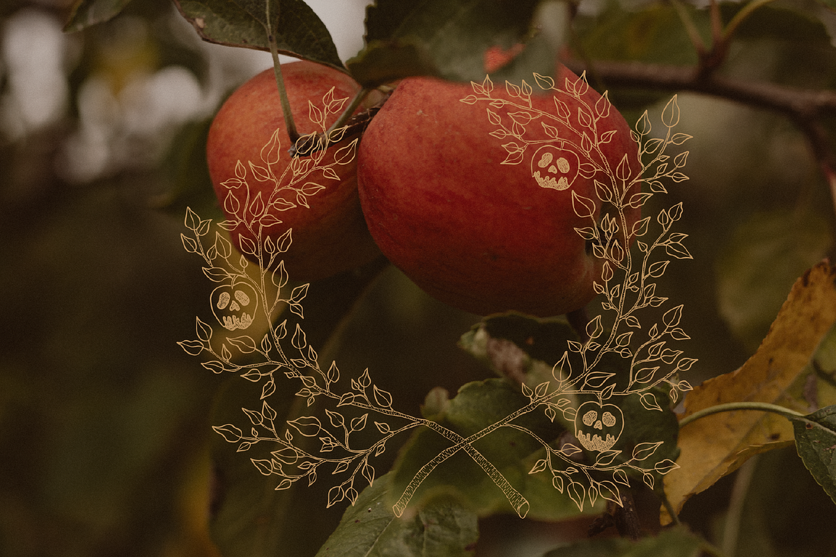 Wicked Apples | Halloween Crest, a Seasonal Illustration by The Happy Ginger Co. (Photo 4 of 4)