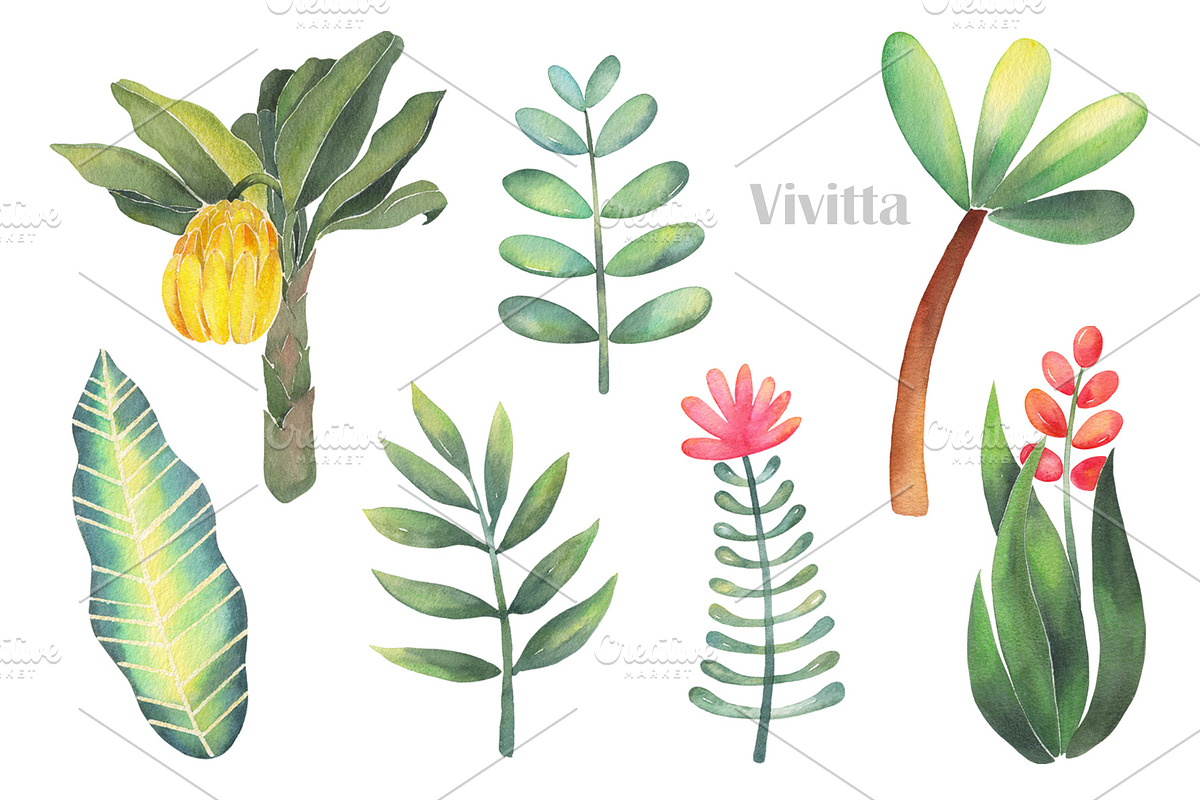 Wild Jungle, watercolor safari set, an Animal Illustration by Vivitta (Photo 4 of 5)