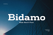 Bidamo - Slab Serif Font, a Slab Serif Font by Sronstudio (Thumbnail 1 of 14)