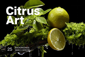 Citrus Art - 25 images, a Food Illustration by Handmadefont