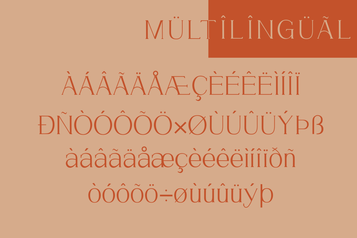 Chrysalara Serif Typeface, a Serif Font by zerologicstudio (Photo 2 of 11)