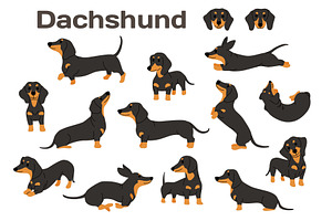 Dachshund Vector Illustration Set