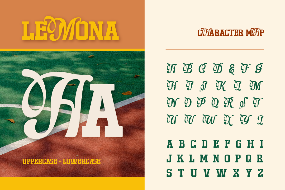 Lemona - Hybrid Style, a Slab Serif Font by Burntilldead (Photo 3 of 13)