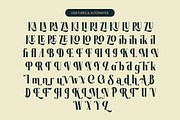 Garaleo Modern Luxury Serif, a Script Font by timelesstype.co (Thumbnail 19 of 20)
