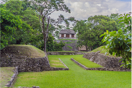 The ancient pyramids of Palenque in, an Architecture Photo by Elizaveta Galitskaya