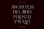 Hecate Display Font, a Serif Font by BY AVA — studio (Thumbnail 4 of 8)