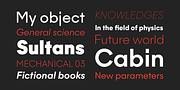 Majorant, a Sans Serif Font by Emtype Foundry (Thumbnail 13 of 14)