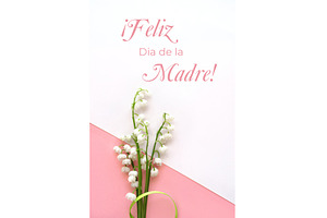 Lily of the valley flowers on pink, a Photo by tilialucida