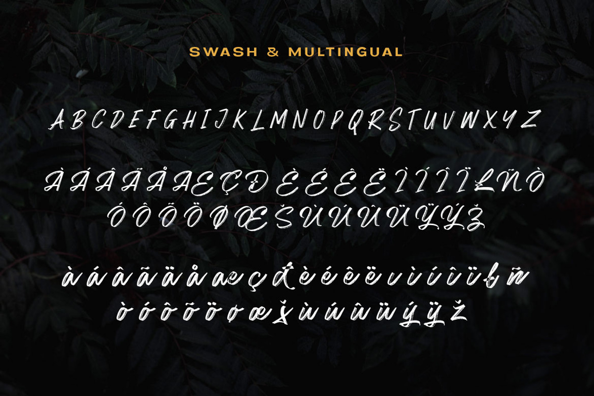 Matriver - Brush Font, a Script Font by Dirtyline Studio (Photo 10 of 11)