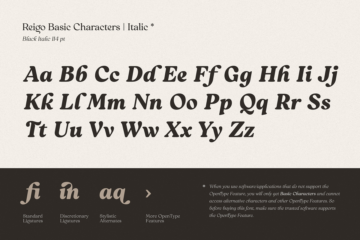 Reigo Complete Family, a Font by Digitype Studio (Photo 12 of 15)