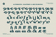 Locked Away -Swash Retro Vintage, a Serif Font by roomspace creative lab (Thumbnail 13 of 13)