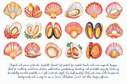 Watercolor Seashell Clipart Set, an Illustration by Libby Wishes (Thumbnail 4 of 7)