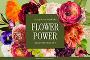 FLOWER POWER Graphics Biggest Bundle, an Object Graphic by Eclectic Anthology (Thumbnail 1 of 6)