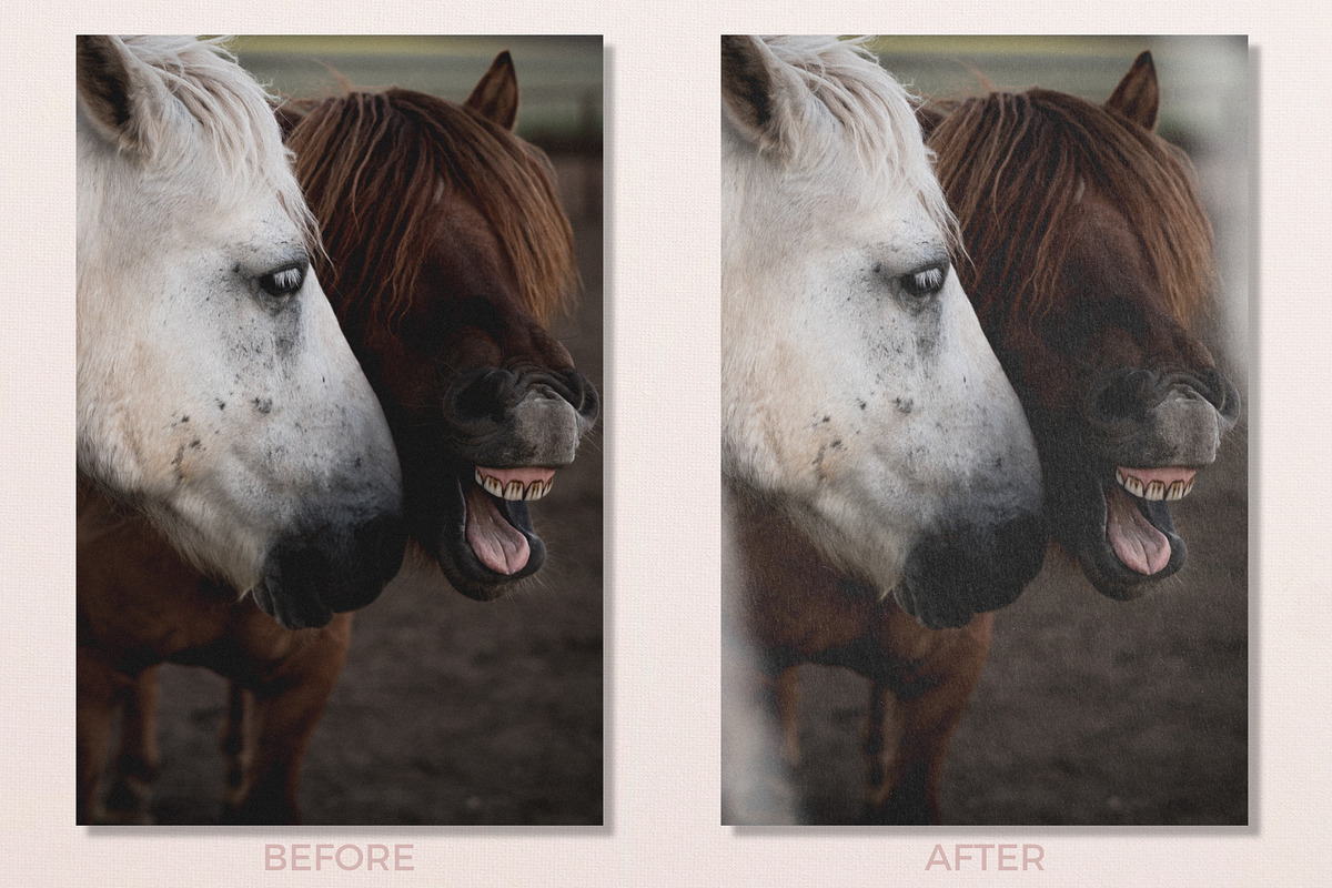 Film + Light Inspired Photo Overlays, a Texture Graphic by Feather & Sage Design (Photo 5 of 8)