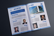 Indesign Investment proposal A4, a Templates & Theme by RudanStudio (Thumbnail 3 of 8)