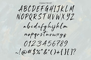 Sackline – Modern Handbrush Font, a Script Font by Sealoung (Thumbnail 10 of 10)