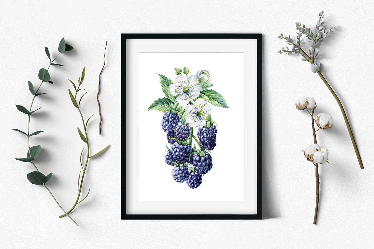 Watercolor Fresh Berries, a Decorative Illustration by Hanna Hryharenka (Photo 14 of 16)