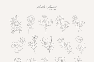 Hand Drawn Botanical Logo & Branding