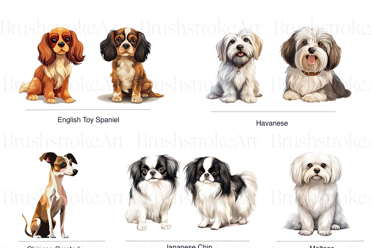 Toy Group Dogs Illustrations Clipart, an Animal Illustration by BrushstrokeArtGB (Photo 3 of 9)