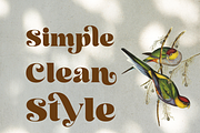Retro Road Serif, a Serif Font by Creative Foundry (Thumbnail 4 of 8)