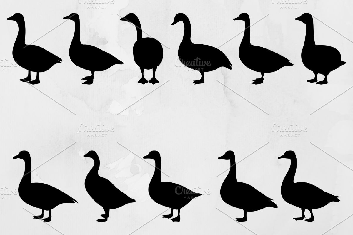 Goose Silhouette SVG, an Animal Illustration by newminddesign (Photo 1 of 3)