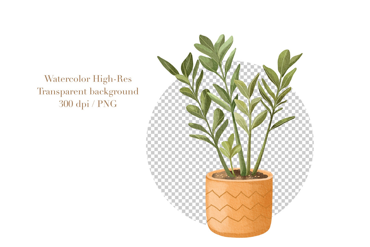 Watercolor Houseplants Clipart, an Object Illustration by ArtGiftsStudio (Photo 4 of 5)