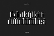 Lifestyle Icons | 8 Font Files, a Serif Font by Pista Mova (Thumbnail 19 of 21)