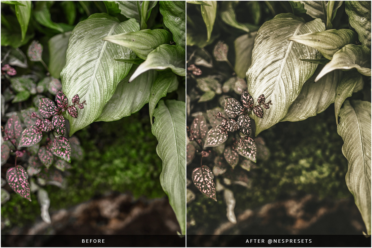 OLIVE TONES LIGHTROOM PRESETS, an Action Add-On by Nes Design Co (Photo 3 of 12)