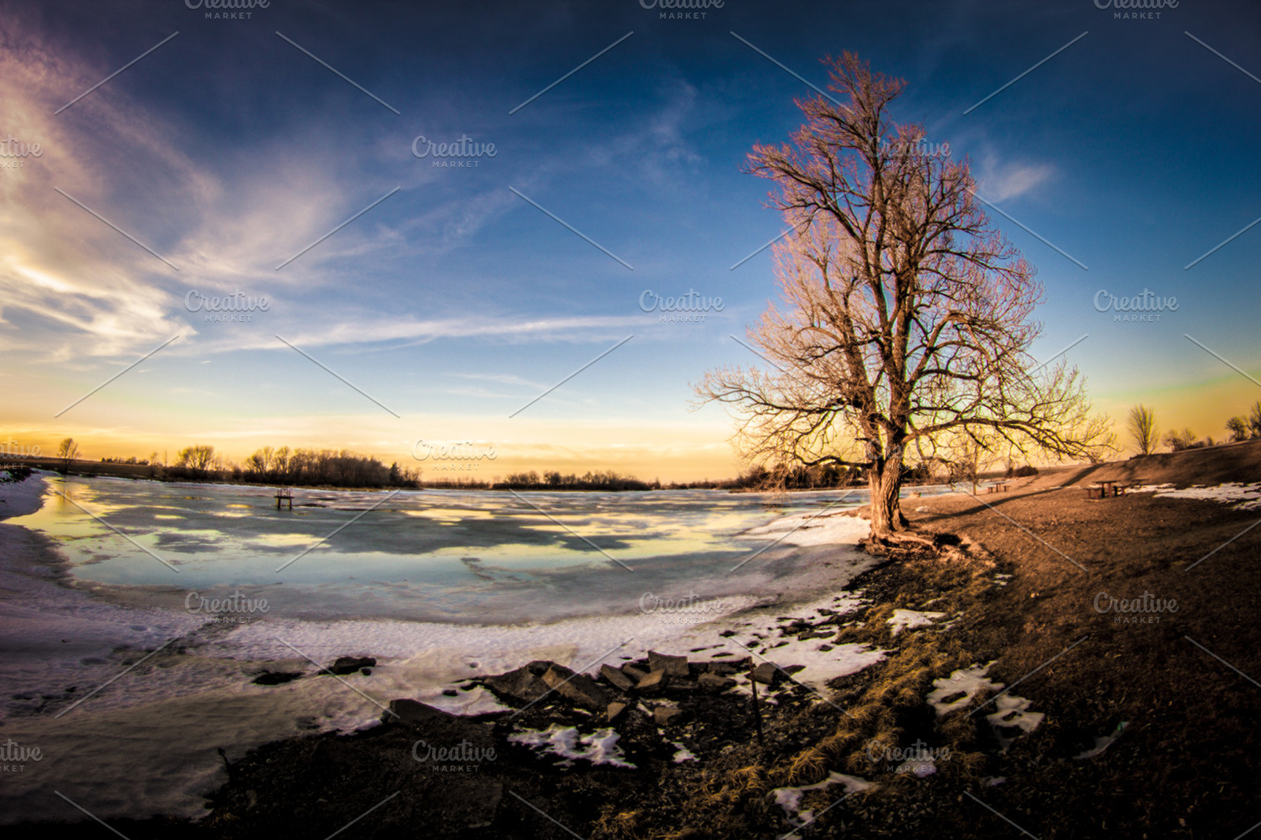 Winter at the lake