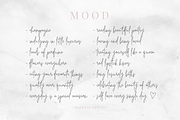 Beauty Notes Script + Illustrations, a Script Font by Design Pixie (Thumbnail 10 of 15)