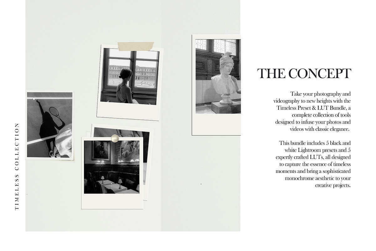 5 B&W LR Presets + Video LUTs, a Preset Add-On by TheWayfarerShoppe (Photo 2 of 17)