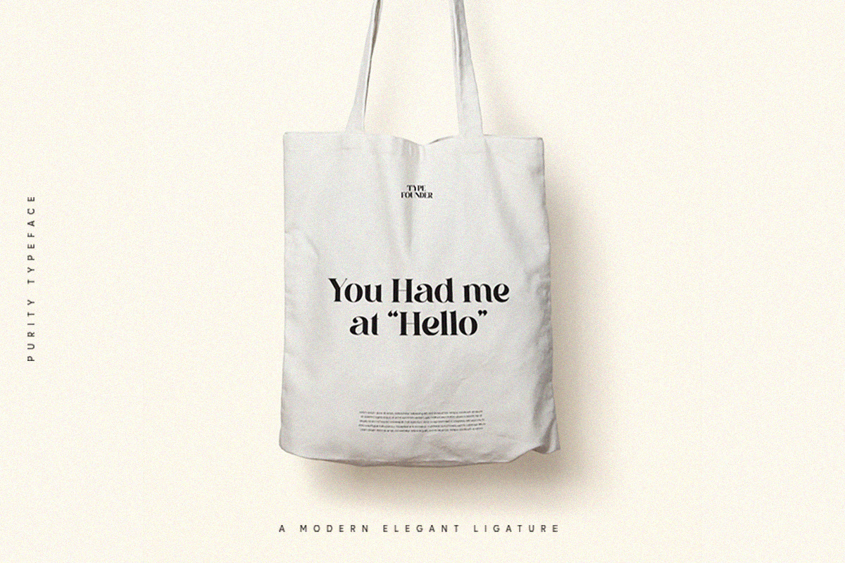 Purity - Modern Ligature Font, a Serif Font by TypeFounder (Photo 7 of 11)