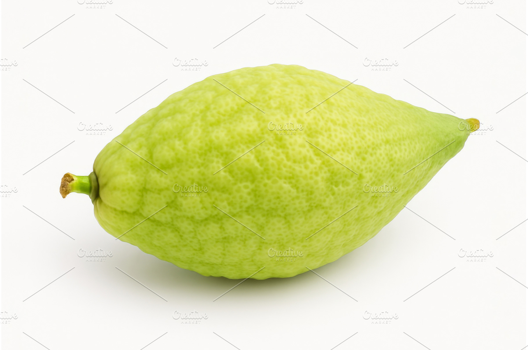 Etrog, one of traditional symbols of, a Holiday Photo by Ungvar Studio
