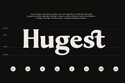 Sonne | 12 Fonts, a Serif Font by Skinny Type (Thumbnail 8 of 11)